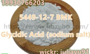 5449-12-7 BMK Glycidic Acid (sodium salt)
julia@hbzebo.com
whatsapp/te …