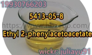 5413-05-8 Ethyl 2-phenylacetoacetate
julia@hbzebo.com
whatsapp/telegra …