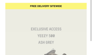 Adidas Yeezy 500 ash grey