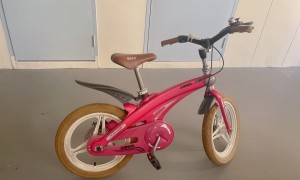 儿童脚踏车(16寸，适合5-10岁)，八成新，超便宜，$49元