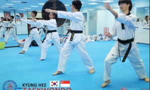 TaekwondoDailyTraining: from beginner to advance level