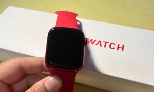 Apple Watch S7 原装红色表带（41mm)
