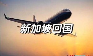 中国往返新加坡航班猛增至单周71班，回国搜easy