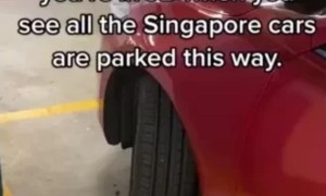 马来西亚网友吐槽新加坡车主不会停车，其实：内藏玄机