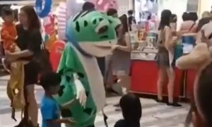 国内爆红的“卖崽青蛙”来新加坡啦！“内娱”现在更懂流量！