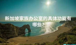 新加坡家族办公室的具体功能有哪些？