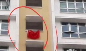 今天起新加坡将允许挂国旗，千万别挂错了会被削