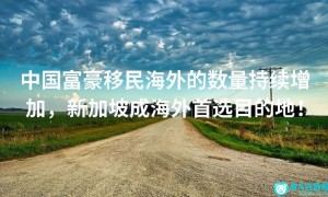 中国富豪移民海外的数量持续增加，新加坡成海外首选目的地！