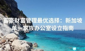 富豪财富管理最优选择：新加坡单一家族办公室设立指南