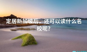 定居新加坡后，还可以读什么名校呢？