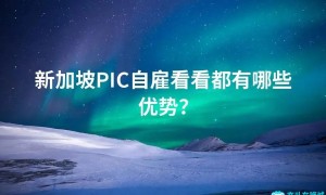 新加坡PIC自雇看看都有哪些优势？