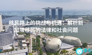 移民路上的挑战与机遇：解析新加坡移民的法律和社会问题