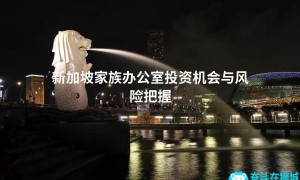 新加坡家族办公室投资机会与风险把握