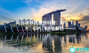 新加坡移民身份科普：EP、TP、GIP、PR全解析