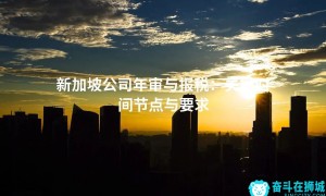 新加坡公司年审与报税：关键时间节点与要求