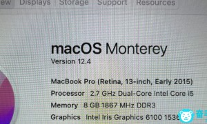 Macbook pro 13\” retina, Early 2015, 256GB
处理器Processor 2.7 GHz Dual …