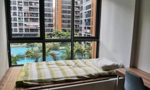 coco palms椰林景2房式公寓，出租其中一个普通房，1400/月，床垫已换新的宜 …