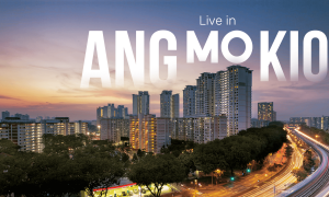 宏茂桥最新公寓即将开盘！Ang Mo Kio Ave 1 VIP预售！小杨☎ 81212366 微✚cedchn