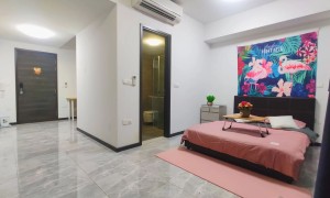 波动巴西优质公寓 整租 两房 房型大 附近商业多 地铁口 可随时联系看房