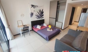 一室一厅整租 波动巴西 酒店式豪华公寓 可住两人 环境好 蜜月房 情侣房 家的温馨