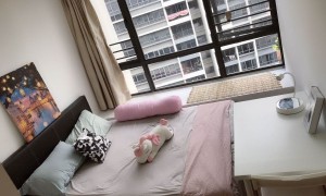 紫线优质公寓 环境一流 两间普通房出租 欢迎来看房