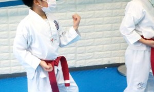 Taekwondo truly is a wonderful martial art to practice and a big reason for that is because it is a great form of exercise.
