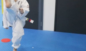 Taekwondo helps in weight reduction if you make it your daily routine