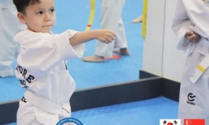 Taekwondo training helps increased flexibility, strengthening and toning of all major muscle groups, better balance,