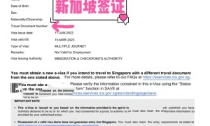 新加坡63天签证  微信:739429414