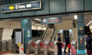 视频|新加坡轻轨站惨剧：33岁女性卧尸轨道