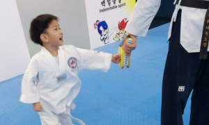 Taekwondo is that it works to increase students\’ flexibility 跆拳道的作用在于增加学生的柔韧性