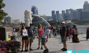“行走的百科全书”！新加坡导游人数短缺年轻人抢着报名当“老司机”