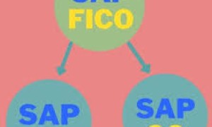 SAP FICO 财务管理模块 1 对 1 教学！！！！