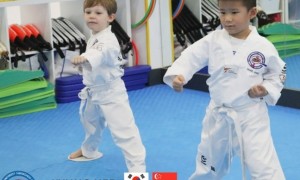 TKD teaches different patterns to students base on their belts color 跆拳道根据学生腰带的颜色向他们转授不同拳法套路