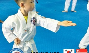 TKD train students to strike with all limbs such as kicks/punches etc 跆拳道训练学生用四肢进行攻击，例如踢腿/拳打等