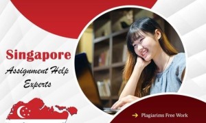 ✍️✍️新加坡最好的论文代写机构✍️✍️ 您网上的新加坡作业论文代写专家✍️让我们的学术专家来帮您排忧解…..