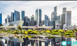 新加坡因“环境差”被西方组织列入“黑名单”，真相究竟如何？