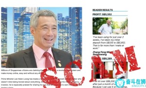 新加坡总理为“币圈”代言，当心血本无归