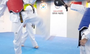 Taekwondo provides students practical lessons in team work. 跆拳道为学生提供团队合作的实践课程