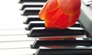 钢琴挑选小助手