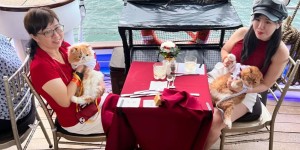 视频|新加坡豪横：全球首趟！邮轮上的奢华喵星人出海巡游！