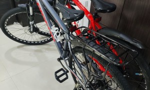 国产品牌自行车出售