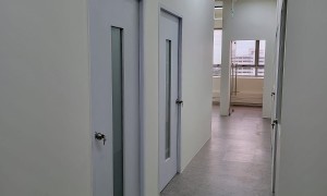 中峇鲁办公室出租 cendex centre，全新装修
