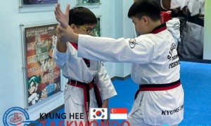 TKD training is designed to lead students to success in their journey 跆拳道训练旨在引导学生在他们的旅程中取得成功