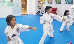Taekwondo basic kick, punch and block for beginners 适合初学者的跆拳道基础踢、拳、拦